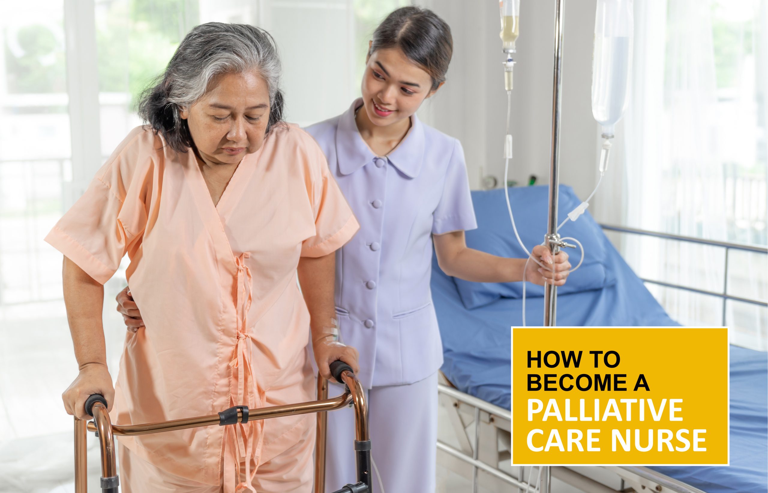 how-to-become-a-palliative-care-nurse-ihm-australia